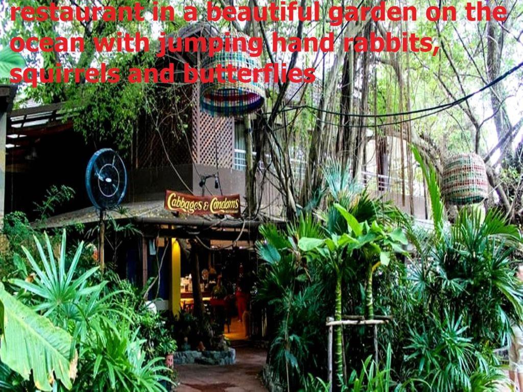 Двух-Комнатная Квартира В Кондоминимуме "Tropikal Garden" Pattaya Extérieur photo